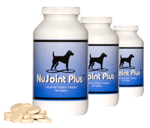 NuJoint Plus